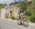 The Cyclist Andre Greipel on Mont Ventoux - Tour de France 2016